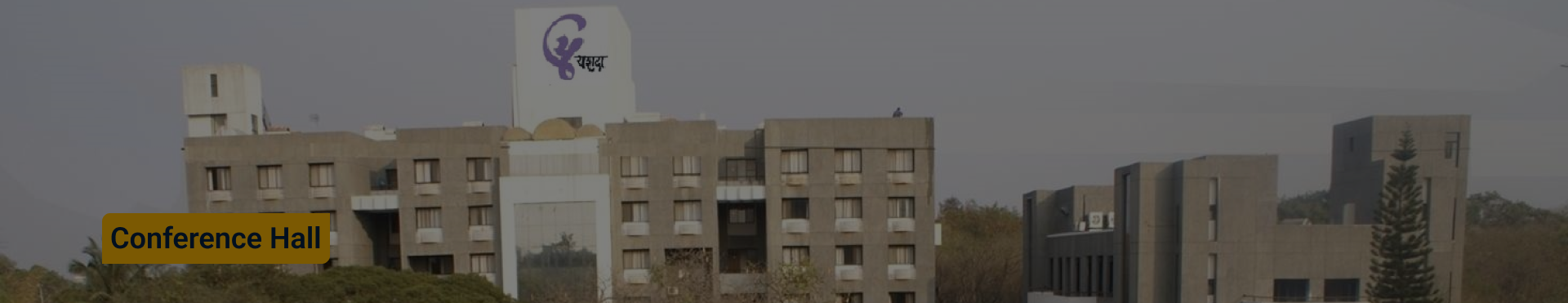 Background Image 3